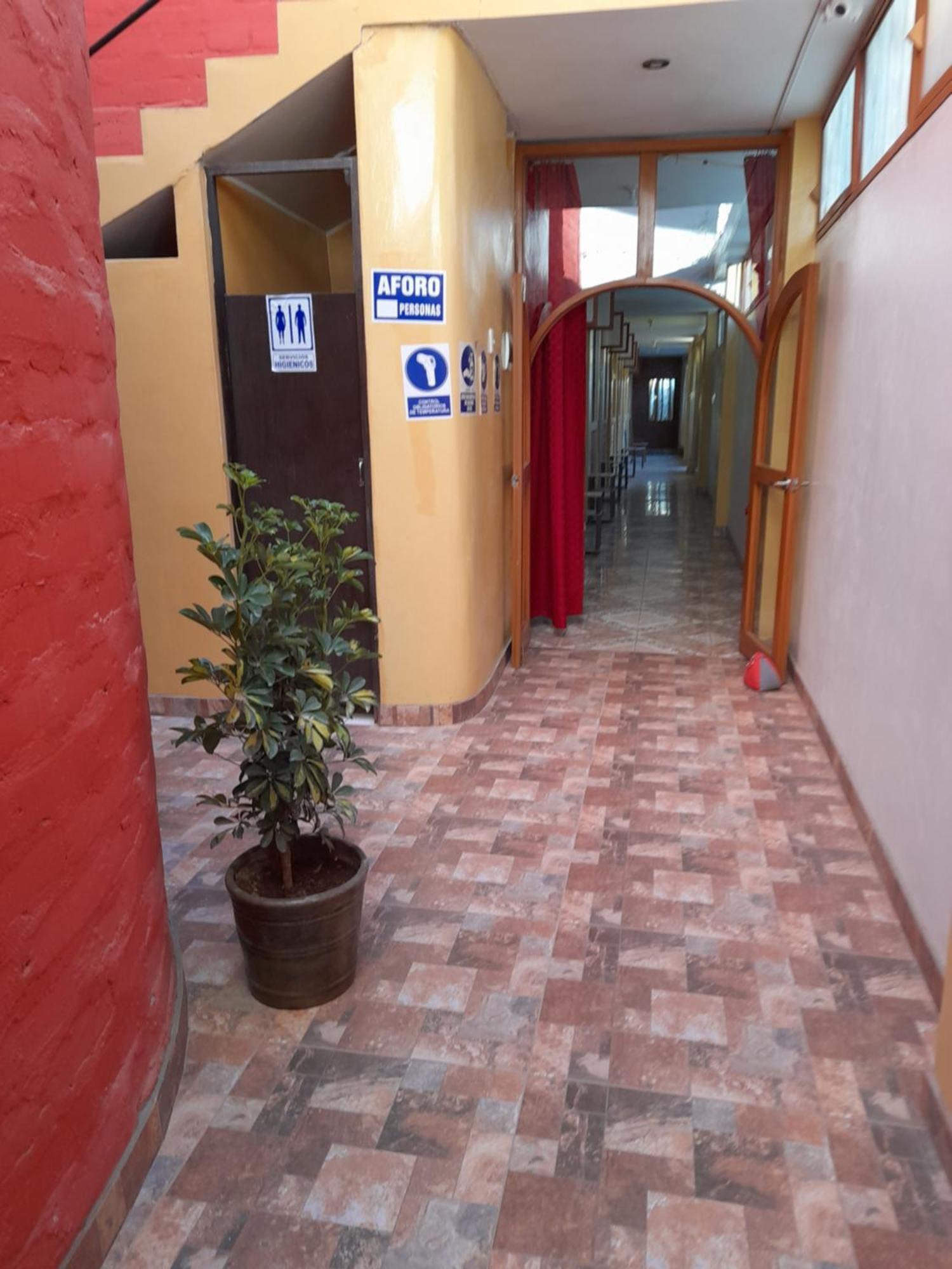 Nasca Trails B&B Nazca Exteriör bild